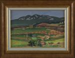 Gabriel COUDERC (1905-1994). 
Vue d'Aups, Haute-Provence. 
Huile sur toile signée...