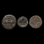 Lot de trois bronzes grecs de Sicile : deux de...